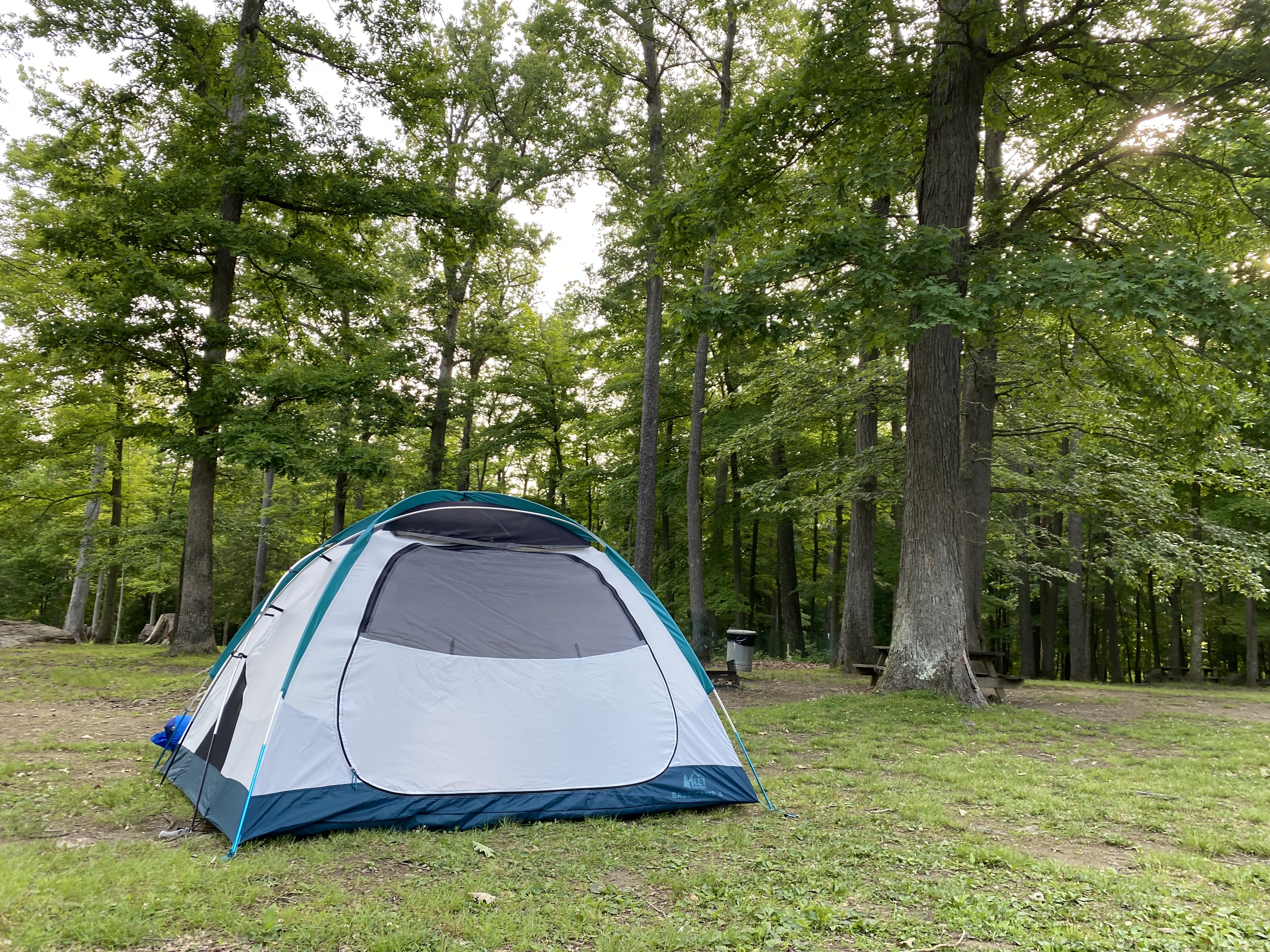 A tent in the woods.